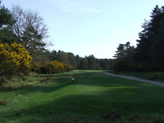 Par 5 - Thetford